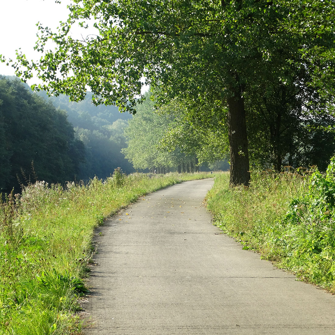 Chemin de la ferme