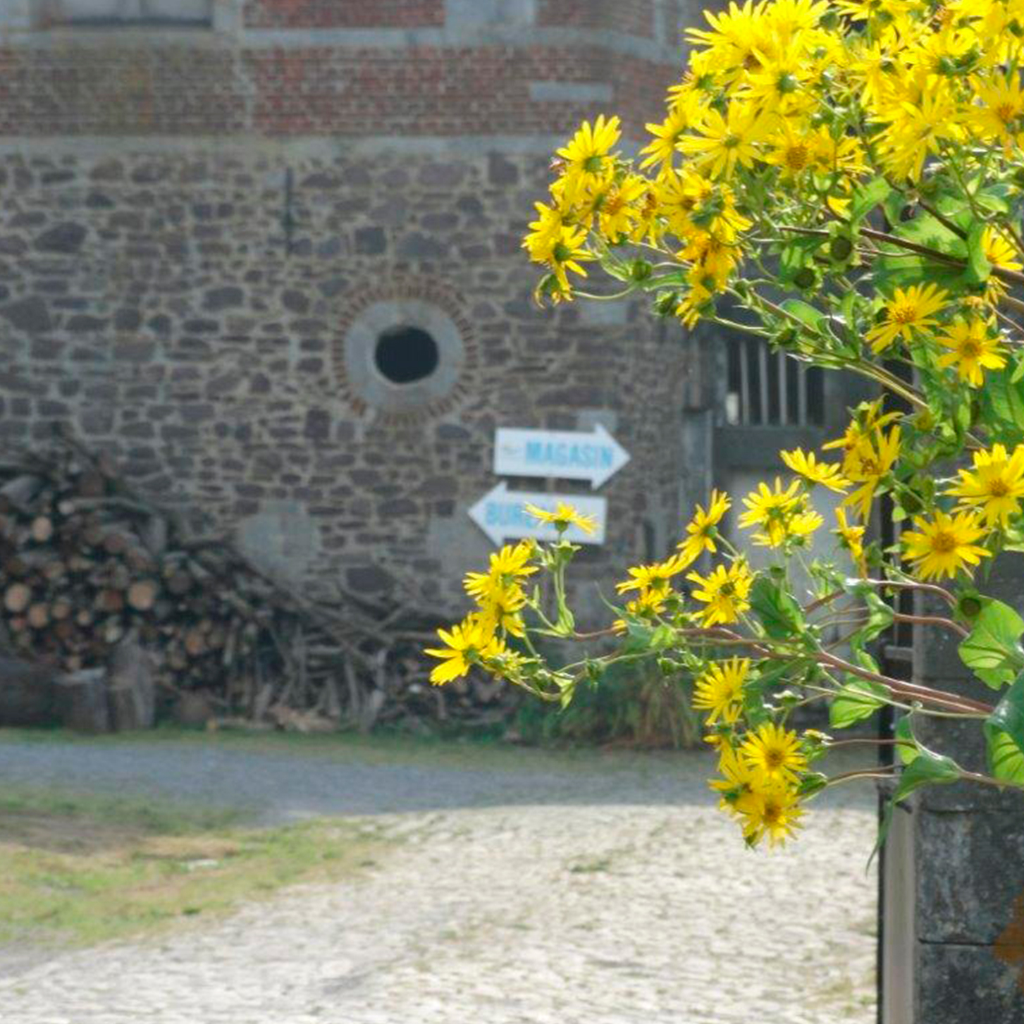 La ferme en fleur