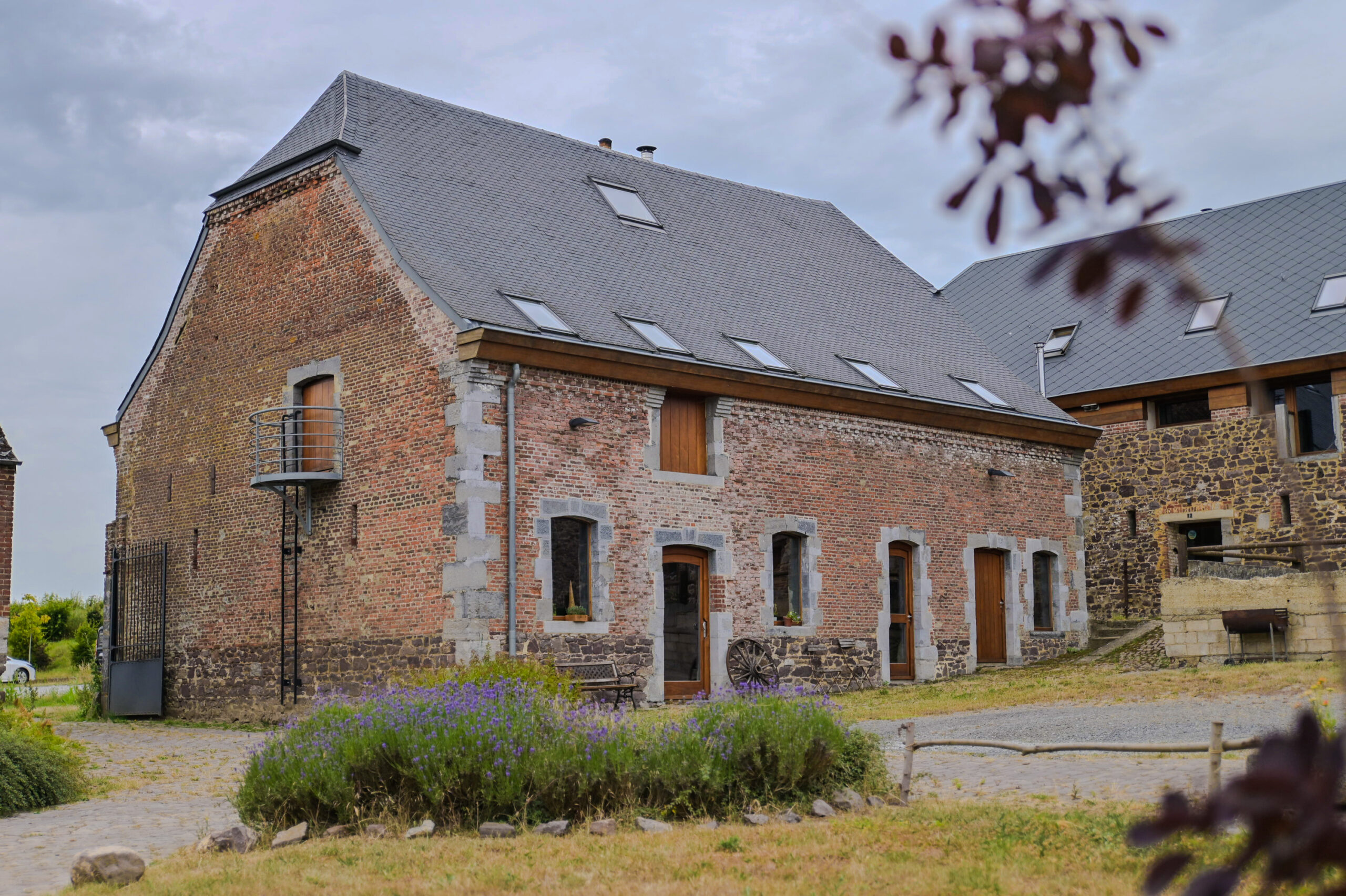 Forestaille-2-052